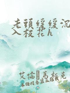 老头缓缓沉腰进入校花h