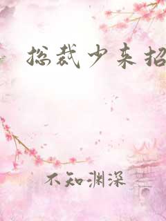 总裁少来招惹我