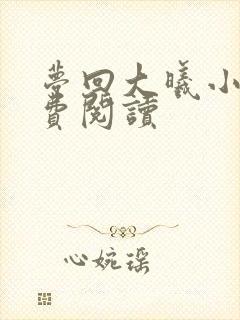 梦回大曦小说免费阅读