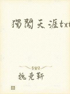 独闯天涯txt