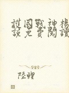 护国战神杨风小说免费阅读