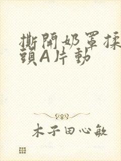 撕开奶罩揉吮奶头A片动