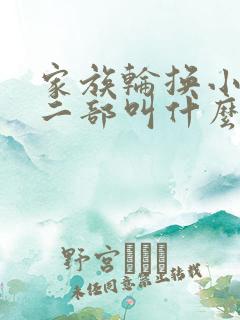 家族轮换小说第二部叫什么名字
