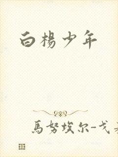 白杨少年