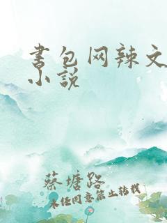 书包网辣文全本小说