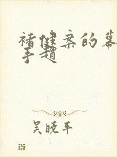 褚健案的幕后黑手赵