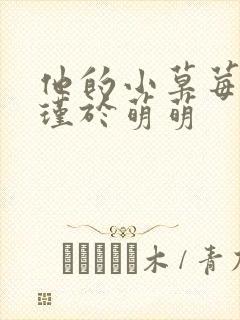 他的小草莓沈修瑾于萌萌