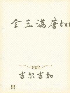 金玉满唐txt