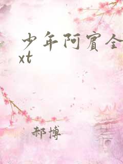 少年阿宾全集txt