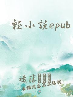 轻小说epub