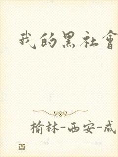 我的黑社会女友