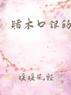 赌木口银的小说