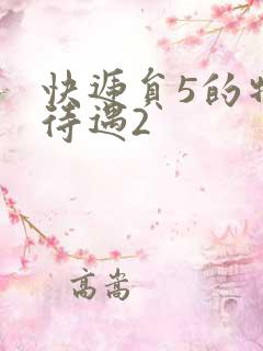 快递员5的特殊待遇2