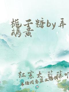 栀子糖by弄白鹅黄