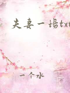 夫妻一场txt