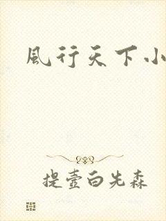 风行天下小说