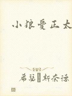 小狼爱正太