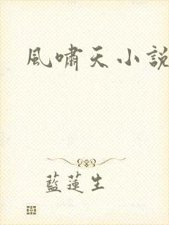 风啸天小说
