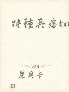 特种兵痞txt
