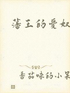 藩王的爱奴