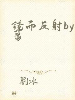 镜面反射by九葛