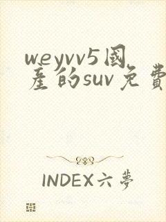 weyvv5国产的suv免费