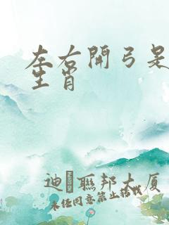 左右开弓是什么生肖