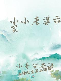 小小老婆乖乖回家