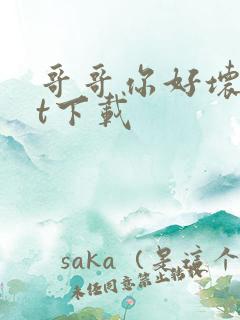 哥哥你好坏txt下载