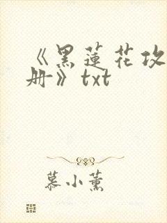 《黑莲花攻略手册》txt