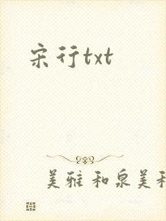 宋行txt