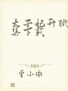 太子妃升职记全集下载