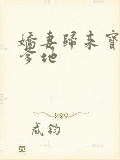 娇妻归来宝贝叫爹地