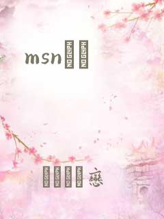 msnС˵