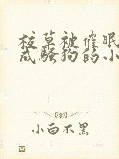 校草被催眠洗脑成骚狗的小说