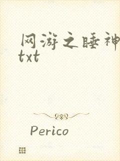 网游之睡神传说txt