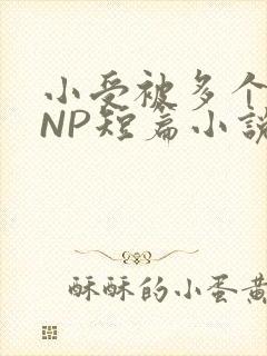 小受被多个攻强NP短篇小说