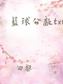 篮球公敌txt