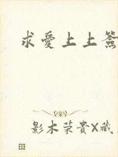 求爱上上签国语