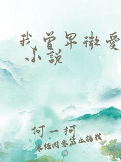 我曾卑微爱过你 小说