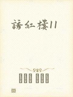 诱红楼11