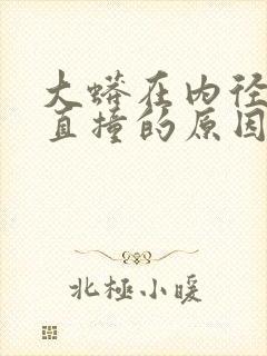 大蟒在内径横冲直撞的原因