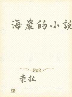 海岩的小说