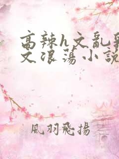 高辣h文乱乳h文浪荡小说苏瑾瑶