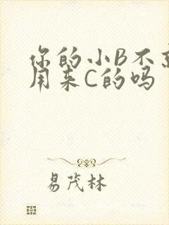 你的小B不就是用来C的吗