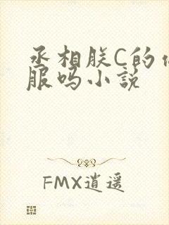丞相朕C的你舒服吗小说