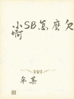 小SB怎么欠C啊