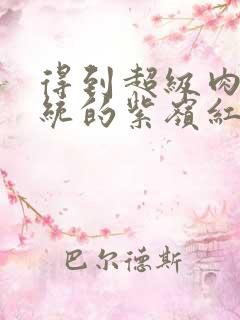 得到超级肉禽系统的紫岭红山