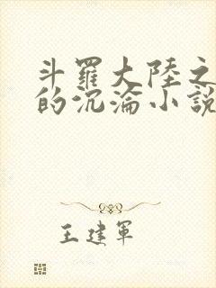 斗罗大陆之众女的沉沦小说