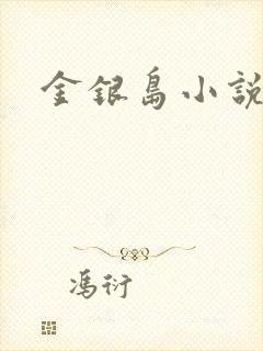 金银岛小说